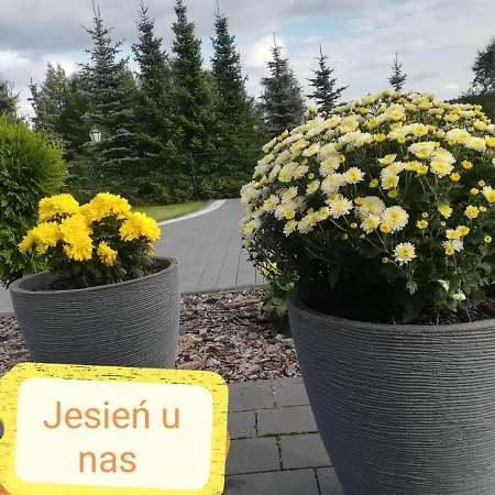 Pogodna Zagroda * Sikorzyno