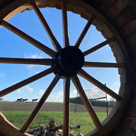 Pogodna Zagroda-dom Na Kaszubach & Strefa Casa vacanze *