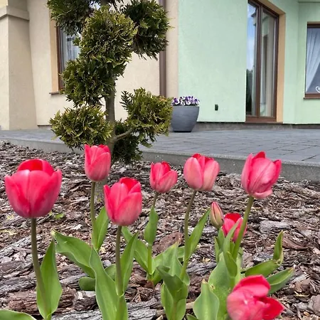 Dom wakacyjny Pogodna Zagroda-dom Na Kaszubach&strefa Sikorzyno