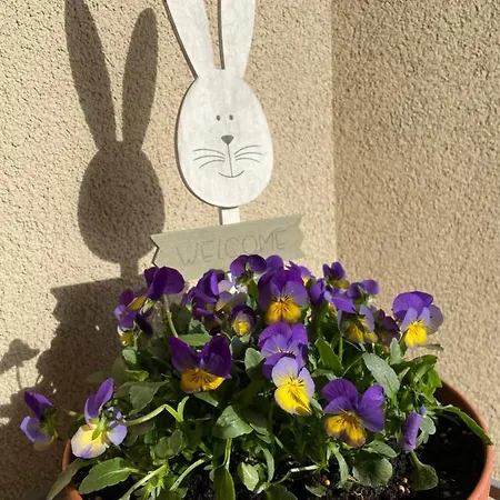 別荘 Pogodna Zagroda-dom Na Kaszubach & Strefa