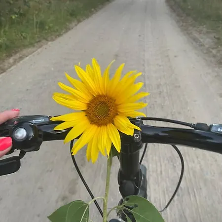 Pogodna Zagroda-dom Na Kaszubach & Strefa * Sikorzyno