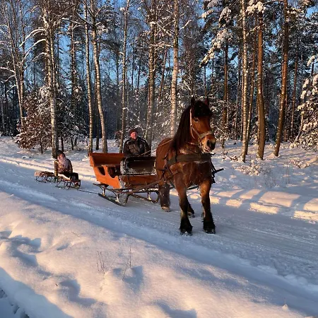 Pogodna Zagroda * Sikorzyno