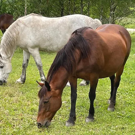 Dom wakacyjny Pogodna Zagroda-dom Na Kaszubach&strefa *