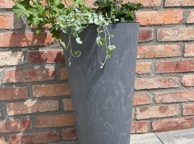 Pogodna Zagroda-dom Na Kaszubach & Strefa