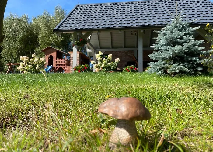 Hébergement de vacances Pogodna Zagroda-dom Na Kaszubach & Strefa Sikorzyno