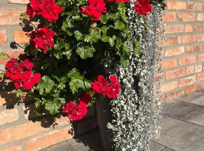 Pogodna Zagroda * Sikorzyno