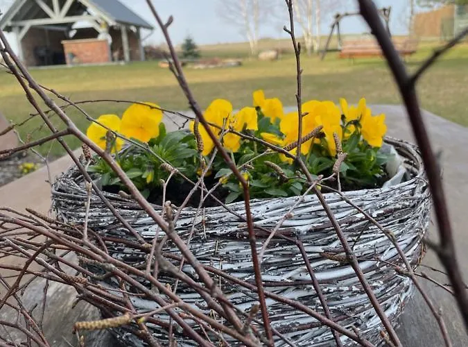 Pogodna Zagroda-dom Na Kaszubach & Strefa Sikorzyno