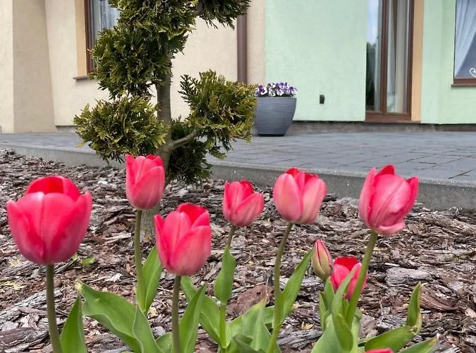 Hébergement de vacances Pogodna Zagroda-dom Na Kaszubach & Strefa Sikorzyno