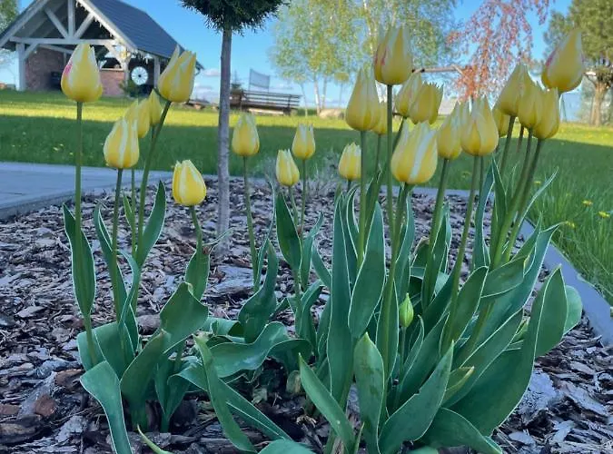 Semesterbostad Pogodna Zagroda