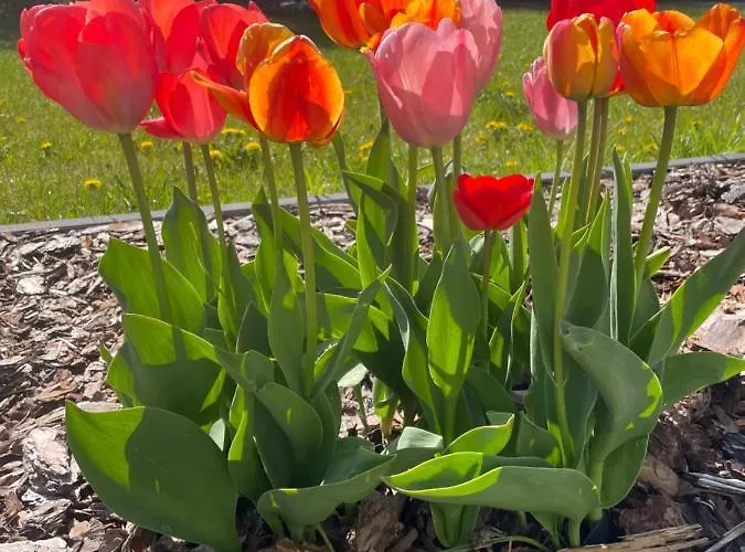 Pogodna Zagroda-dom Na Kaszubach & Strefa *