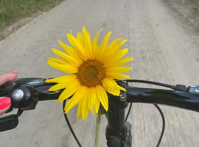 Pogodna Zagroda-dom Na Kaszubach & Strefa * Sikorzyno