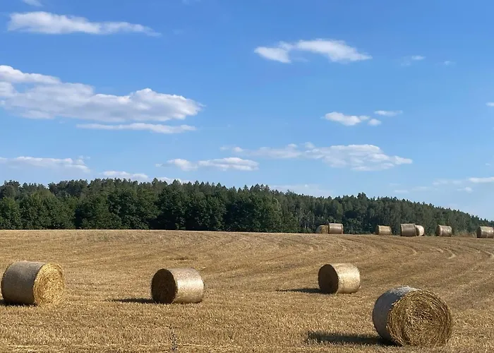 Pogodna Zagroda-dom Na Kaszubach & Strefa