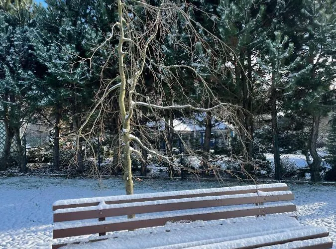 Pogodna Zagroda-dom Na Kaszubach & Strefa 別荘 Sikorzyno