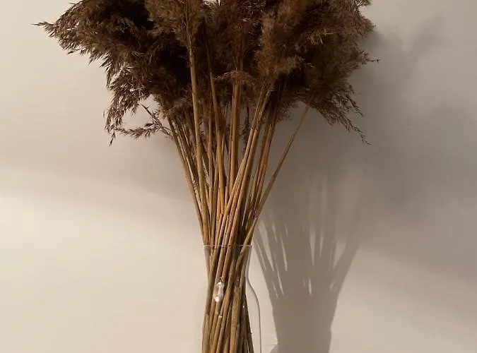 Pogodna Zagroda-dom Na Kaszubach & Strefa 別荘