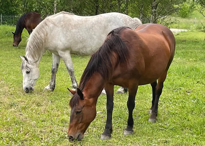 Semesterbostad Pogodna Zagroda *