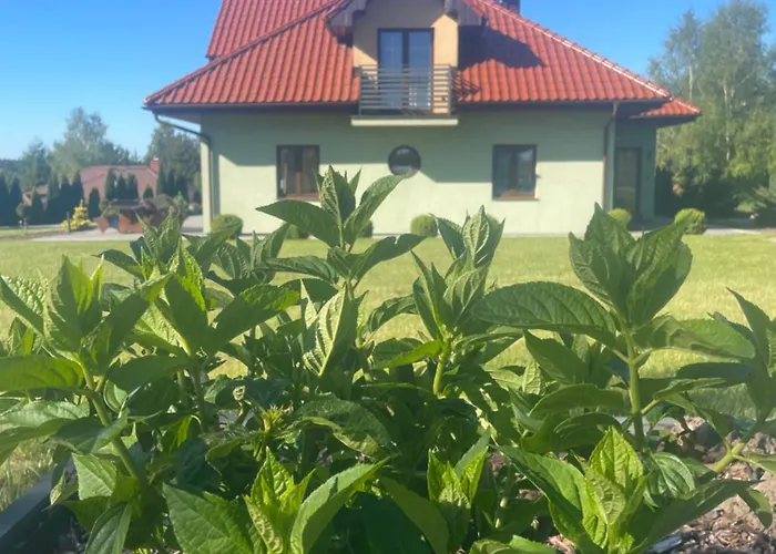 Pogodna Zagroda Semesterbostad Sikorzyno